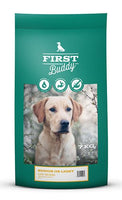 FIRST Buddy Senior & Light
